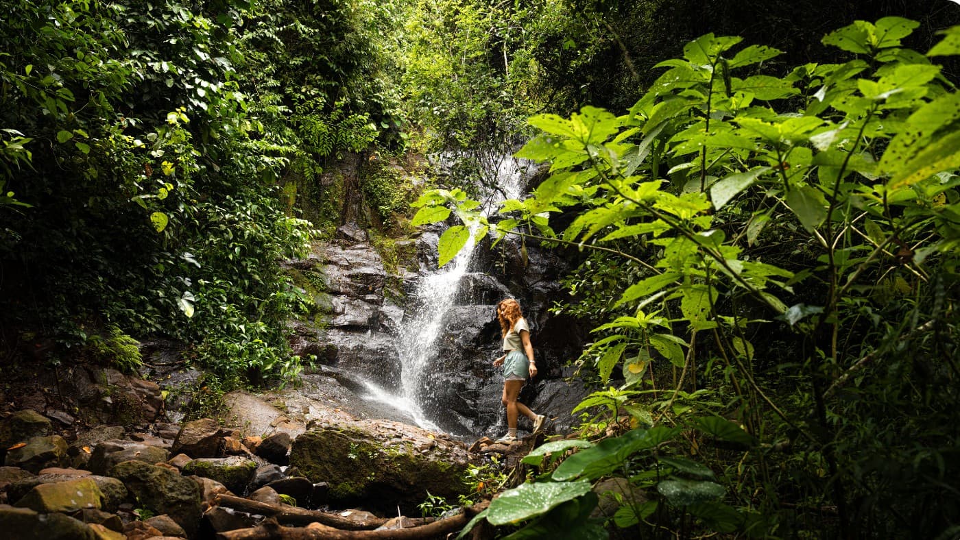 Trilhas de Foz do Iguaçu: conheça os melhores caminhos pela natureza da região