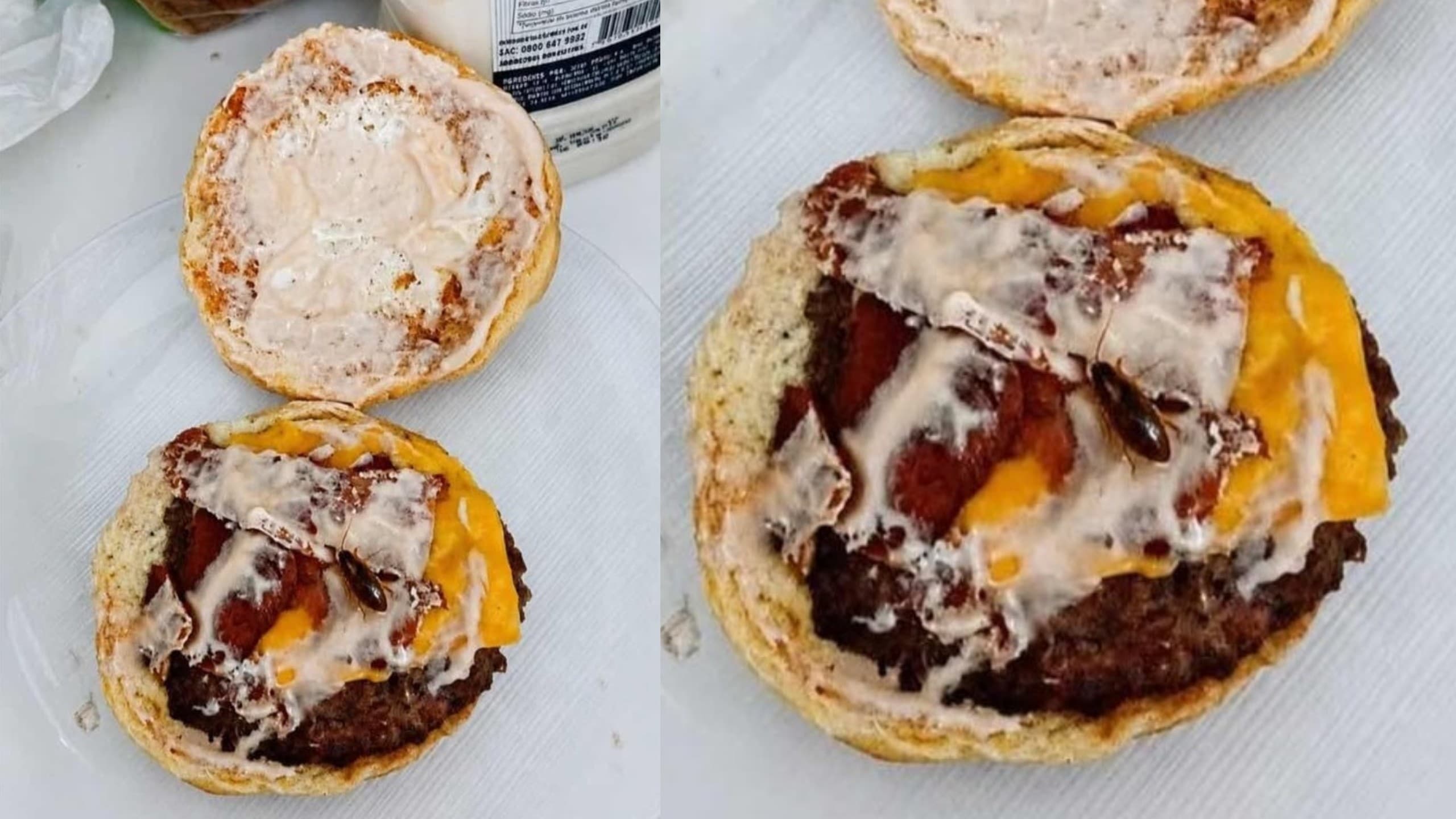 Golpe com inteligência artificial: cliente tenta enganar hamburgueria com foto fake de barata