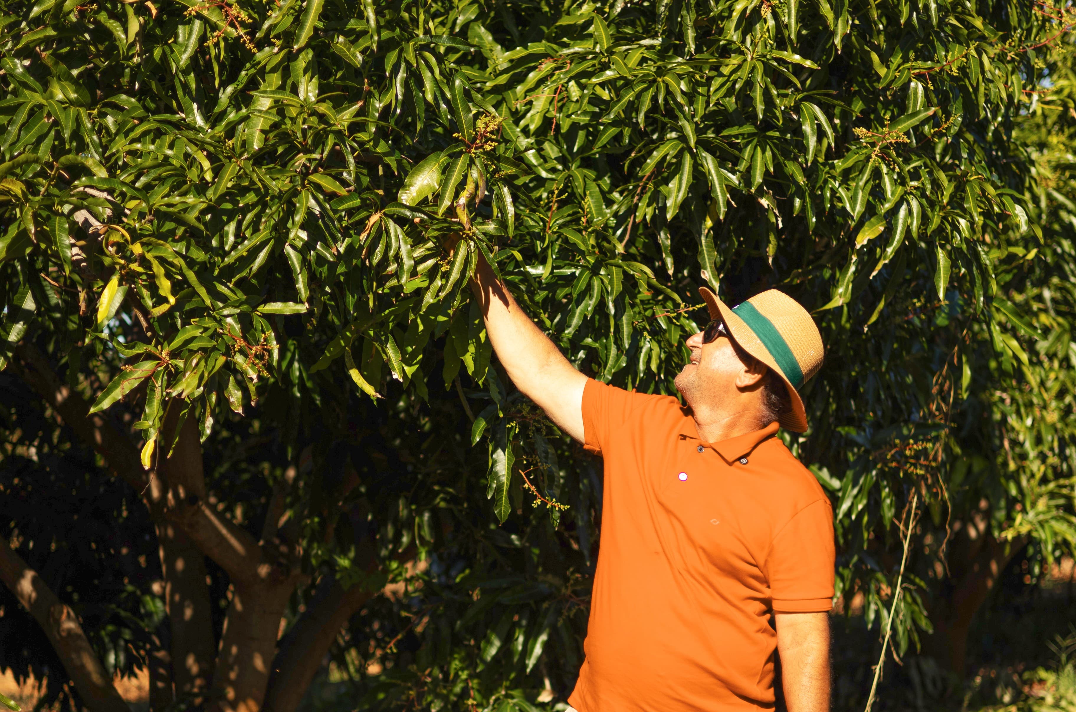 Crédito rural abre caminho para modernização da agricultura no Nordeste